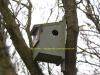 002-bird-box-no-7-with-hole-made-by-woodpecker-1-1-d5ab2f4a59d7eee322b2bdcc26c8e5f8e807c538