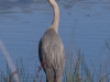 002-heron-1-1-a9c3dca415e76c70b5ee6b72bc8d3831911ef50e